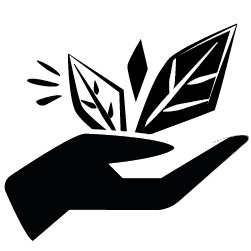 Le respect de leur environnement